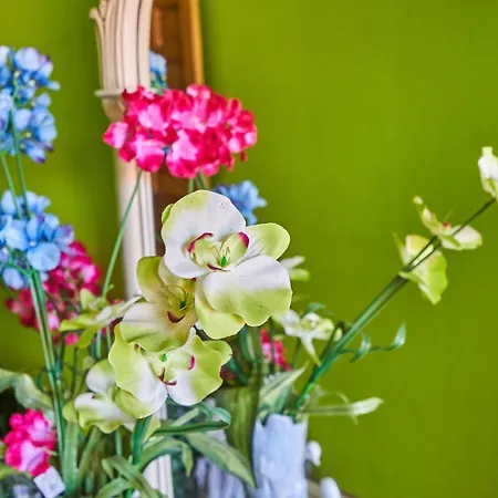 Garai Etxea, En La Montana Arrankudiaga